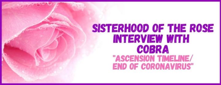 Ascension Timeline/End of Coronavirus Meditation Interview with Cobra by the Sisterhood of the Rose