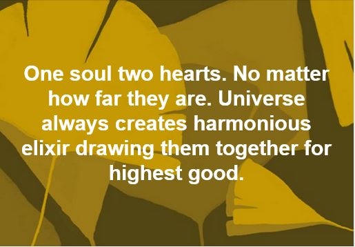 Twin soul Love