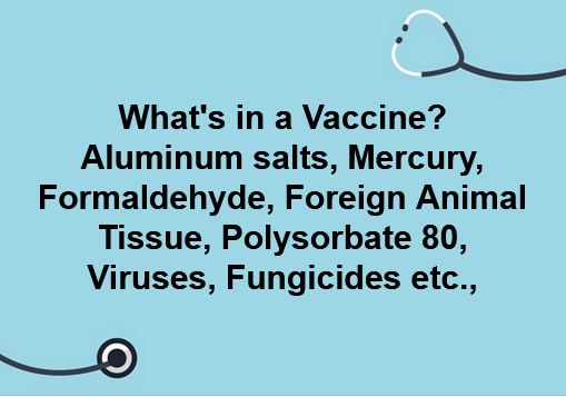What's in a Vaccine?
Aluminum salts, Mercury, Formaldehyde, Foreign Animal Tissue, Polysorbate 80, Viruses, Fungicides etc., 
