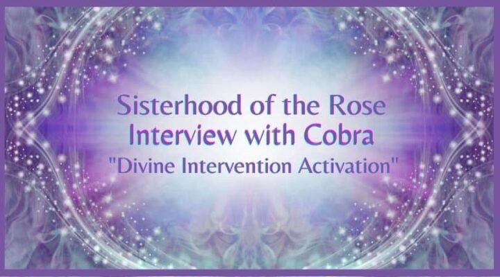 कोबरा के साथ सिस्टरहुड आफ द रोज़ की इंटरव्यू “डिवाईन इंटरवेन्शन एक्टिवेशन”
